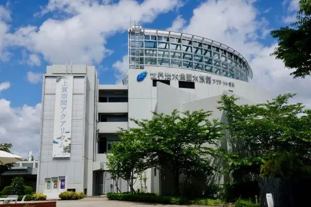 🎡 오아시스 파크 이미지 7